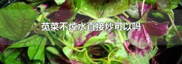 苋菜不焯水直接炒可以吗