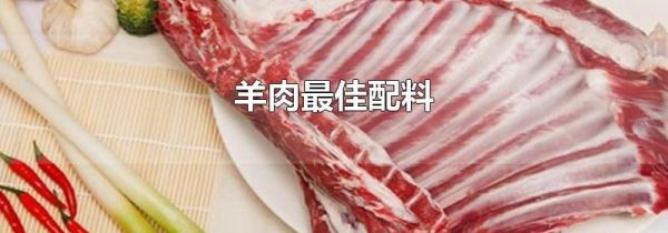 羊肉最佳配料