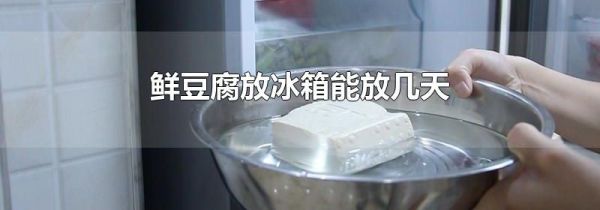 鲜豆腐放冰箱能放几天