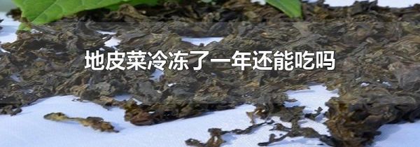 地皮菜冷冻了一年还能吃吗