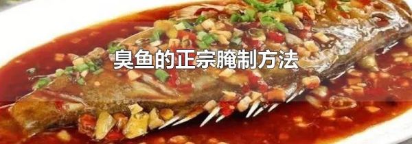 臭鱼的正宗腌制方法