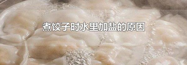 煮饺子时水里加盐的原因