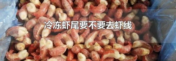 冷冻虾尾要不要去虾线