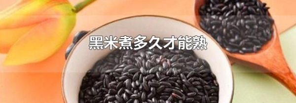 黑米煮多久才能熟