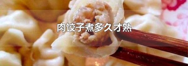 肉饺子煮多久才熟