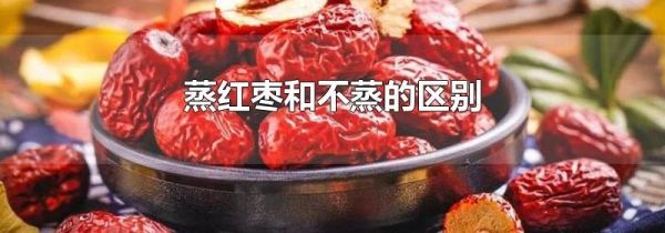 蒸红枣和不蒸的区别