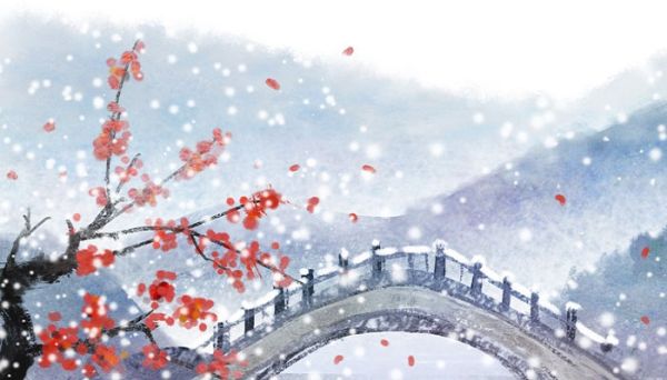 中国国花是什么 中国的国花是什么花