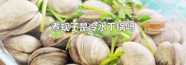 煮蚬子是冷水下锅吗