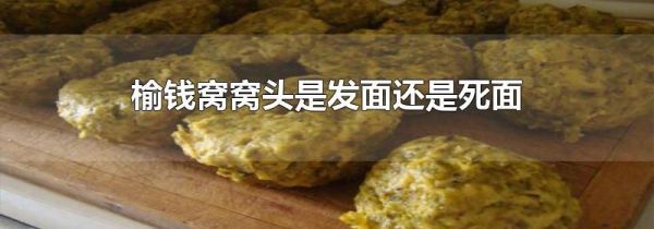 榆钱窝窝头是发面还是死面