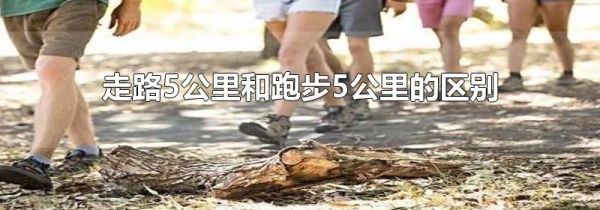 走路5公里和跑步5公里的区别