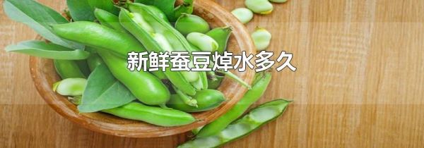新鲜蚕豆焯水多久