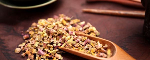 干铁皮石斛泡水喝方法 铁皮石斛泡水一次放多少