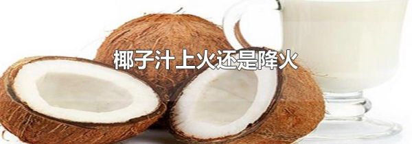 椰子汁上火还是降火