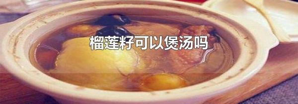 榴莲籽可以煲汤吗