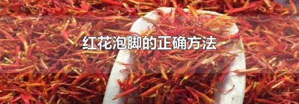 红花泡脚的正确方法