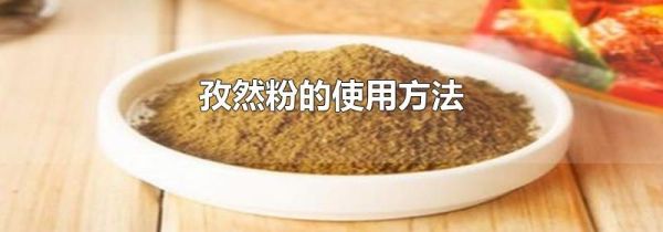 孜然粉的使用方法