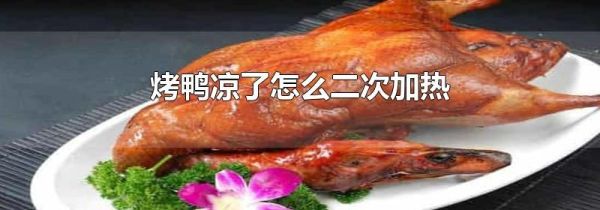 烤鸭凉了怎么二次加热