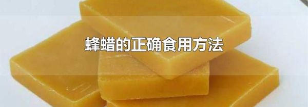 蜂蜡的正确食用方法
