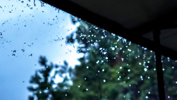 大雨时节的物候特征 大雨时节的物候特征有哪些