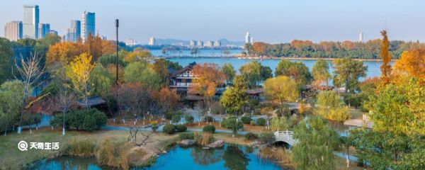 合肥滨湖属于合肥哪个区 合肥滨湖是合肥哪个区