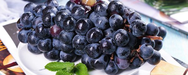 葡萄没熟可以吃吗 葡萄什么时候成熟