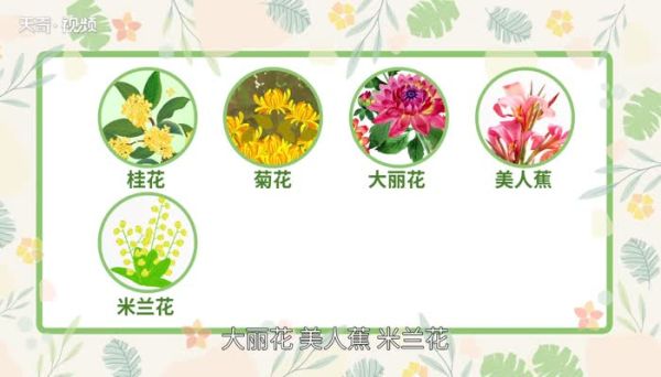 九月开什么花 九月份有什么花开