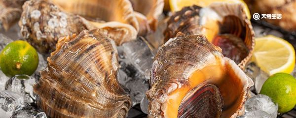 海螺开水蒸还是冷水蒸 海螺怎么蒸