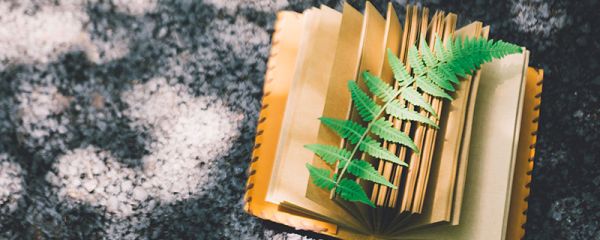 关于静的名言警句 宁静的名言名句