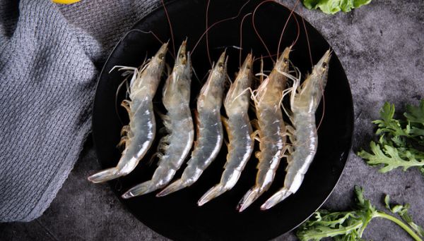 虾能和胡萝卜一起吃吗  虾能和胡萝卜可以一起吃吗