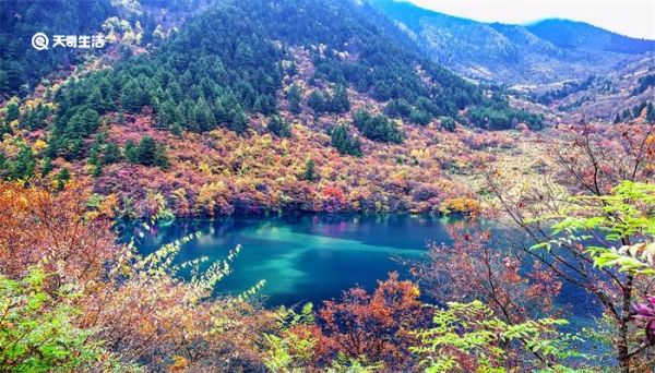 九寨沟海拔最高多少米九寨沟海拔最高是多少米