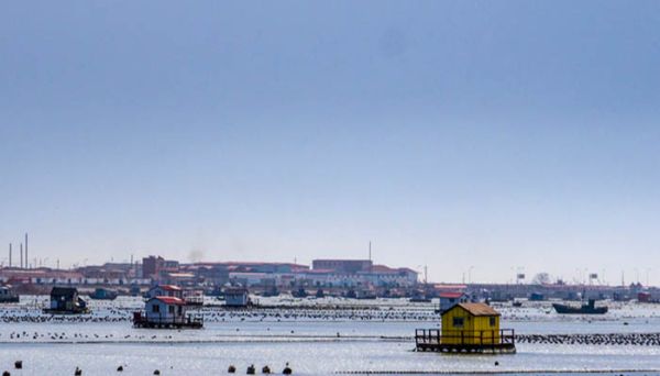 中国的舟山渔场建在什么流 形成舟山渔场的主要原因有哪些