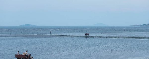 中国的舟山渔场建在什么流 形成舟山渔场的主要原因有哪些
