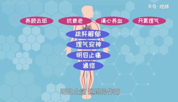 合欢花的功效与作用 合欢花的功效与作用有哪些