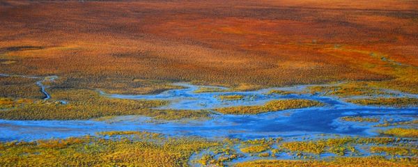 沼泽会把人吸到哪去 人掉入沼泽会去哪里