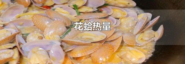 花蛤热量