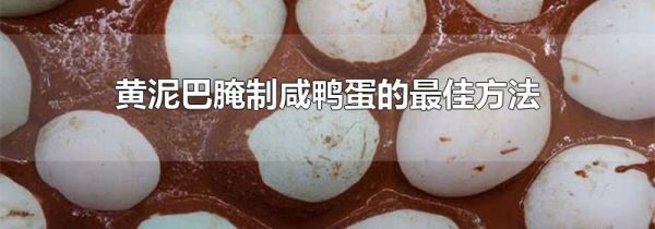 黄泥巴腌制咸鸭蛋的最佳方法