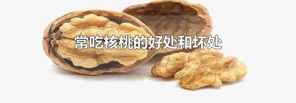 常吃核桃的好处和坏处
