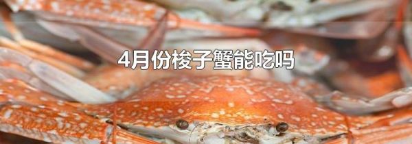 4月份梭子蟹能吃吗