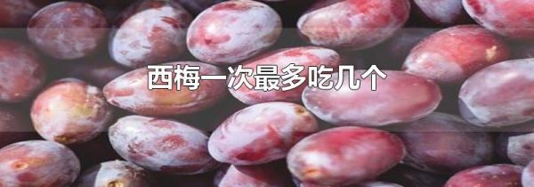 西梅一次最多吃几个