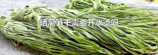 晒莴笋干需要开水烫吗