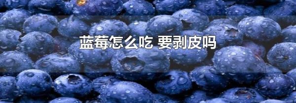 蓝莓怎么吃 要剥皮吗