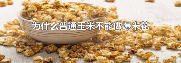 为什么普通玉米不能做爆米花