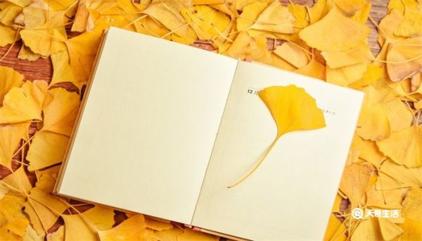 手帐是什么 手帐是什么意思解释