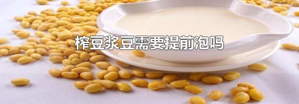 榨豆浆豆需要提前泡吗