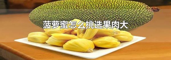菠萝蜜怎么挑选果肉大