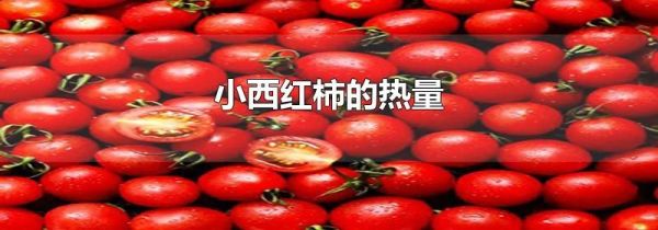 小西红柿的热量