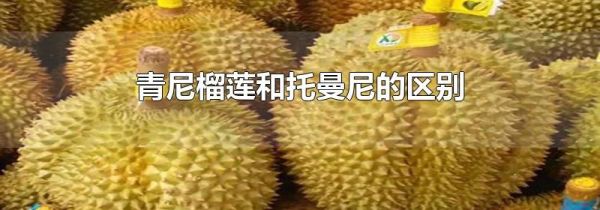 青尼榴莲和托曼尼的区别