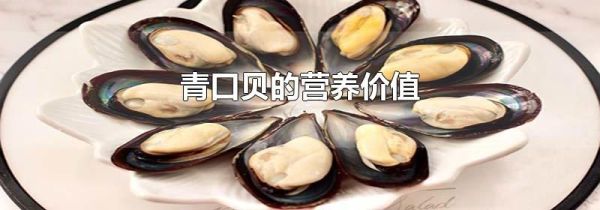 青口贝的营养价值
