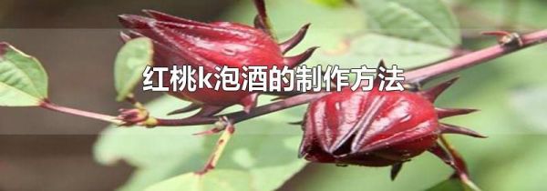 红桃k泡酒的制作方法