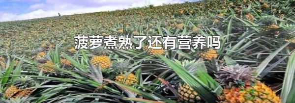 菠萝煮熟了还有营养吗